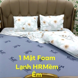 Nệm Foam Cao Su Hoạt Tính Happy Nice